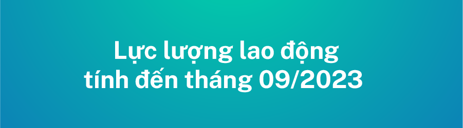 Thị trường lao động quý III 2023 và dự báo tuyển dụng 2024 – xu hướng và hướng dẫn lương