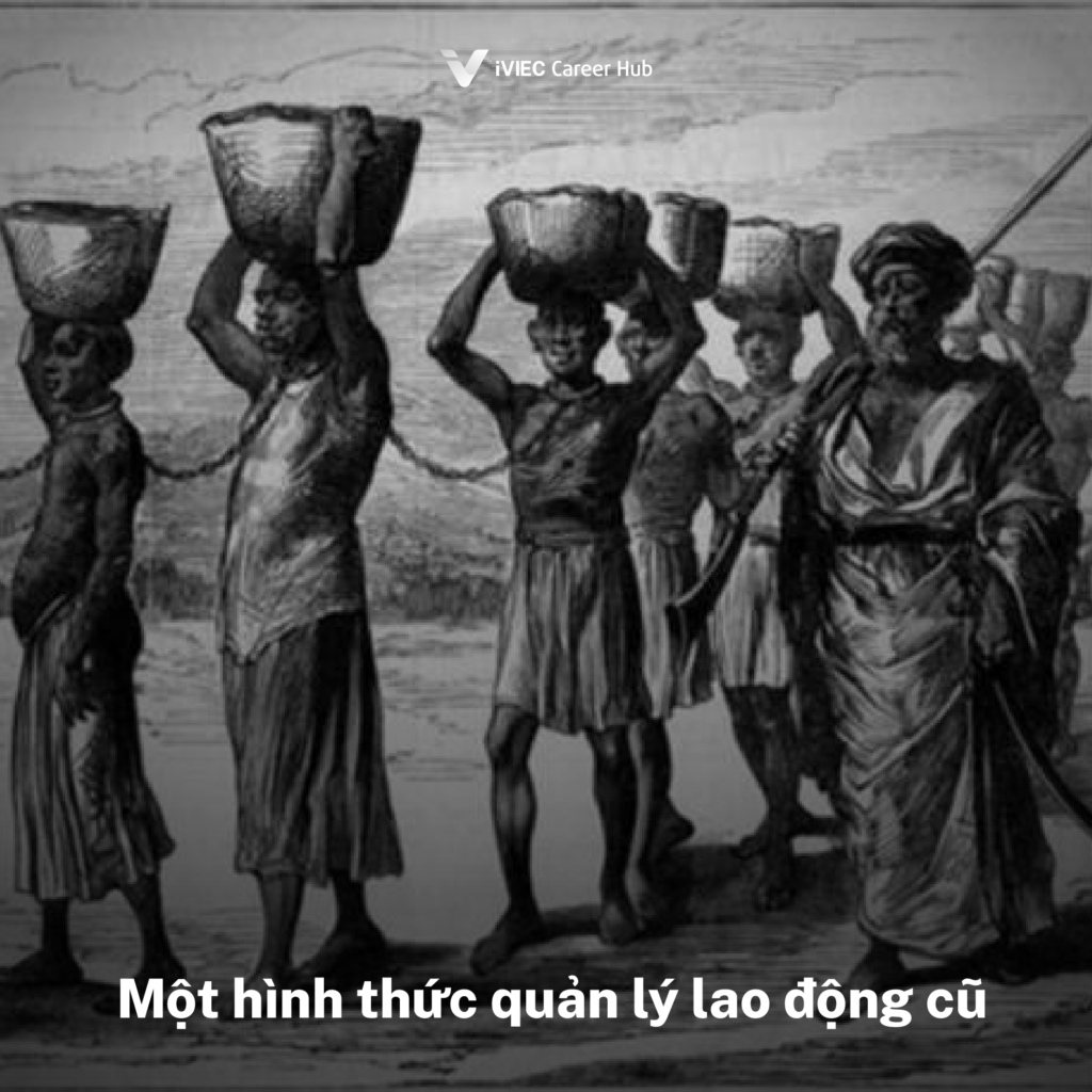 Ngành Nhân sự: Hành trình từ quản lý người lao động đến nghệ thuật quản trị nguồn nhân lực hiện đại