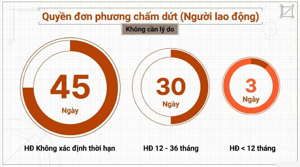 hợp-đồng-lao-động-1