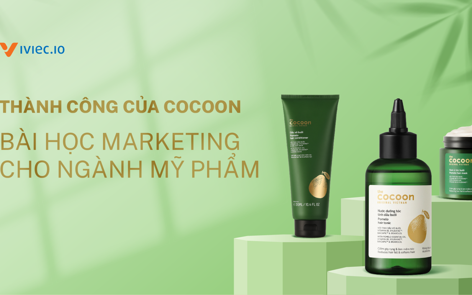 blog iviecio 091123(1)